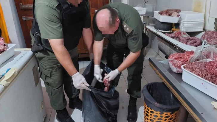 Los Pumas decomisaron 130 kilos de carne en mal estado de un local de Gaboto