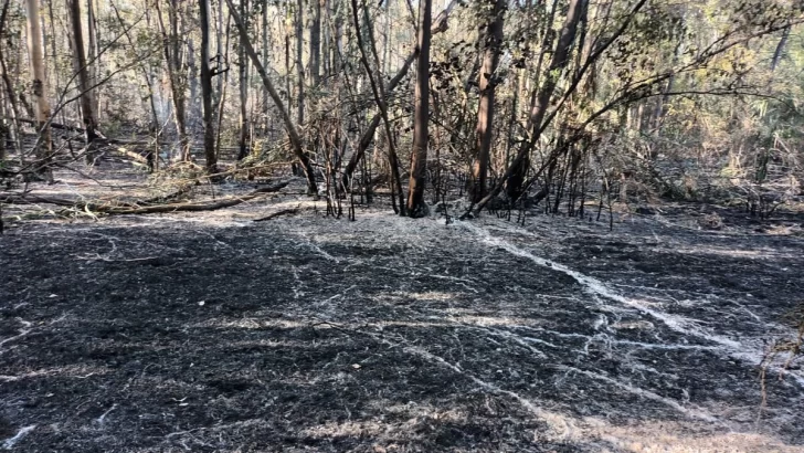 El año termina con un voraz incendio que quemó 80 hectáreas del circuito natural de Andino