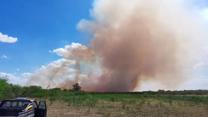 Tras un día de intenso trabajo de 25 bomberos aún no lograron sofocar el incendio forestal en Puerto Aragón