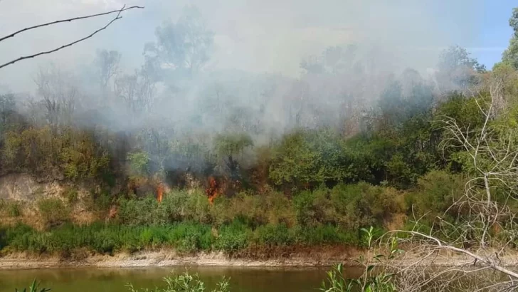 El Ministerio de Ambiente investiga y sancionará a quienes comenzaron los incendios en el Carcarañá