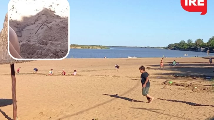 Una víbora sorprendió a un niño que jugaba en Puerto Aragón: Piden tener precaución