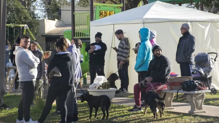 Timbúes realizará castraciones de mascotas en barrio Gauchito Gil