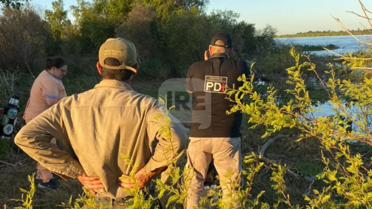 Encontraron restos humanos en avanzado estado de descomposición en Puerto Aragón