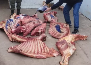 En diez días Los Pumas decomisaron más de 400 kilos de carne por faena clandestina