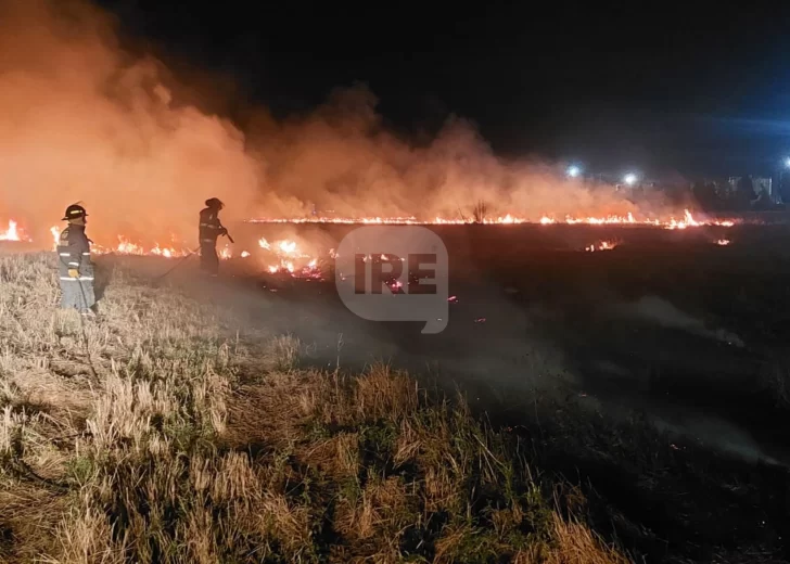 Cuatro cuarteles trabajaron intensamente en un incendio forestal en cercanías a la planta de YPF