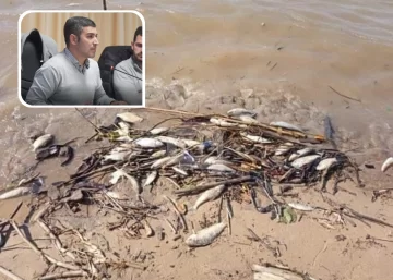 Ante la mortandad de peces un concejal de San Lorenzo pide que se analice la contaminación del agua