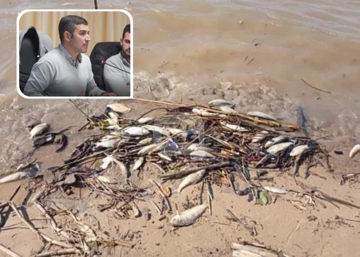 Ante la mortandad de peces un concejal de San Lorenzo pide que se analice la contaminación del agua