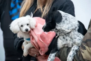 En una exitosa jornada se castraron más de 50 animales en Timbúes