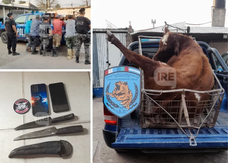 Detuvieron a cinco cuatreros en Coronda: Llevaban la vaca faenada en un carro