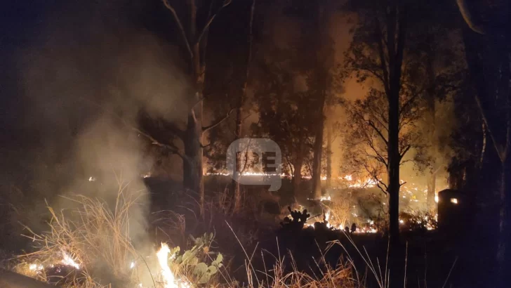 El cuartel de Maciel tuvo su bautismo de fuego con dos incendios forestales