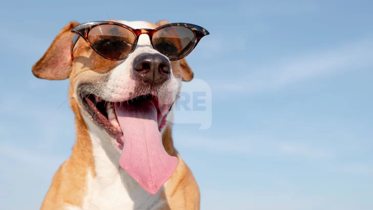 Agosto arrancó con mucho calor que anticipa una tormenta pero vuelve el frío