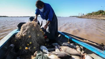 Atención trabajadores del río: Cómo hacer la renovación de licencias de guía de pesca