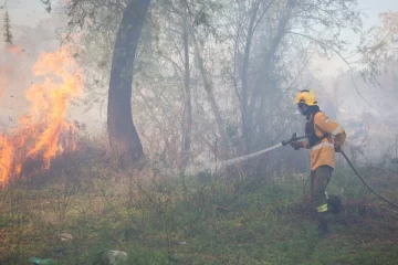 Brigadistas forestales de Santa Fe combaten focos ígneos frente a Rosario