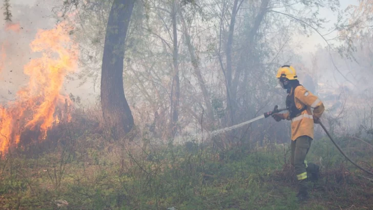 Brigadistas forestales de Santa Fe combaten focos ígneos frente a Rosario