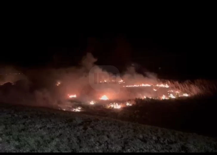 Humo y peligro sobre autopista: Bomberos sofocaron un incendio de magnitud a la altura de Maciel