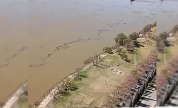 Alerta ambiental: Un buque derramó aceite en el río Paraná a la altura de Vicentín