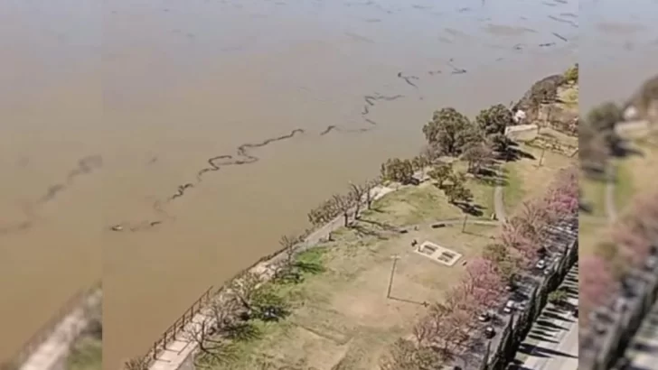 Alerta ambiental: Un buque derramó aceite en el río Paraná a la altura de Vicentín