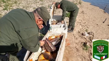 Pesca ilegal: Los Pumas sancionaron a siete personas con más de 60 kilos y otras 120 piezas