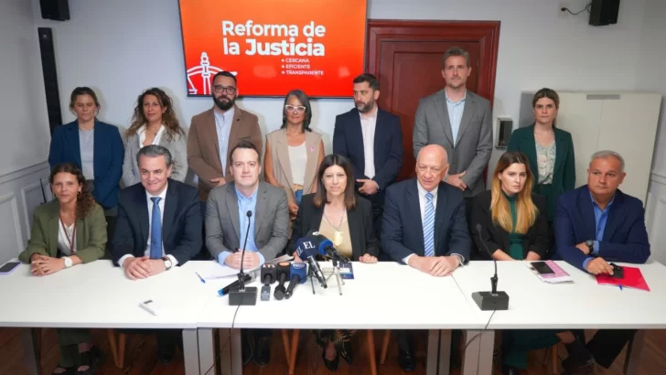 El socialismo impulsa una reforma de la Justicia Provincial para “acercar la justicia a la sociedad”