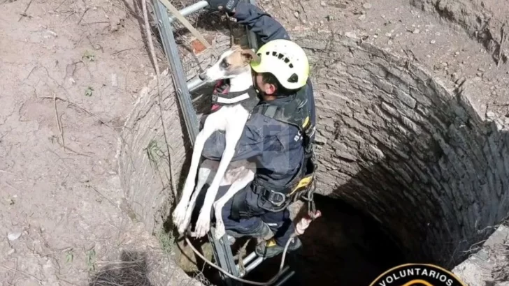 Bomberos de Barrancas rescataron a un perrito que se cayó en el pozo de un aljibe