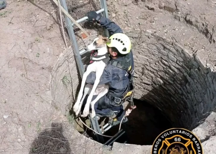 Bomberos de Barrancas rescataron a un perrito que se cayó en el pozo de un aljibe