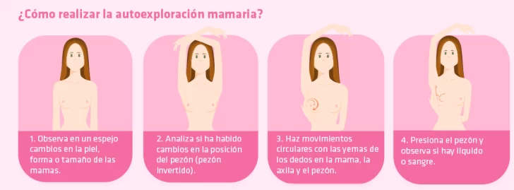 infografia-728x269