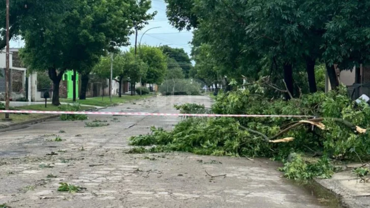 Fuerte tormenta en San Genaro: Árboles caídos, techos volados y familias evacuadas