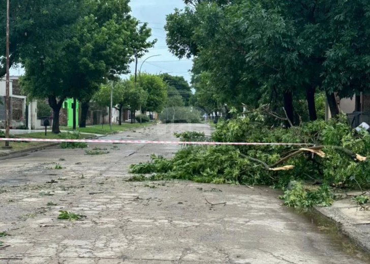 Fuerte tormenta en San Genaro: Árboles caídos, techos volados y familias evacuadas