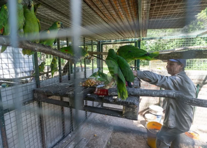 Santa Fe recibió nuevas especies para su rehabilitación y reintroducción en la naturaleza