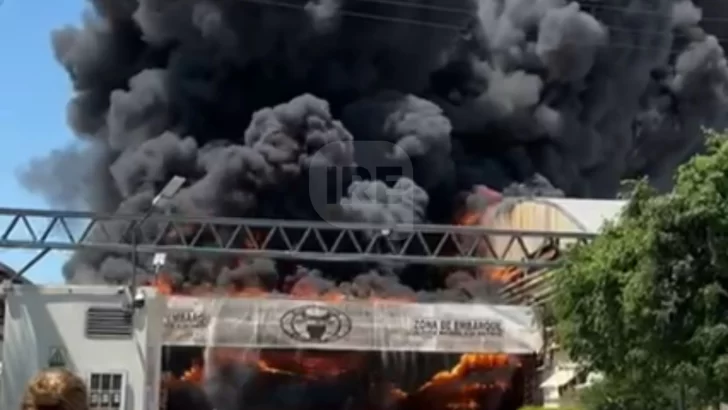 Terrible incendio en una curtiembre de Las Toscas