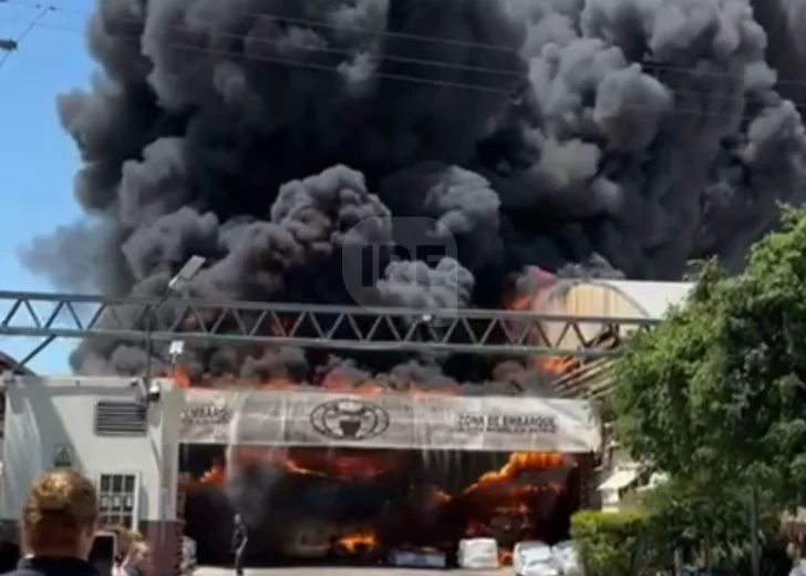 Terrible incendio en una curtiembre de Las Toscas