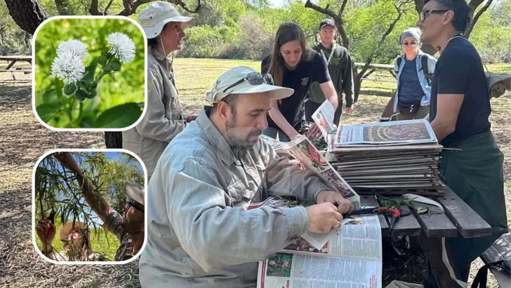 Avanza la investigación sobre la vegetación del Parque Nacional Islas de Santa Fe: Tercera salida a campo