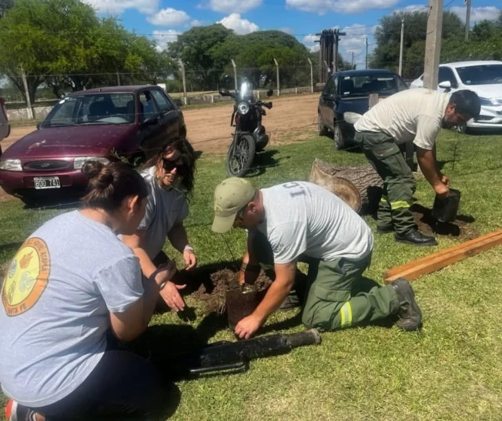 Acción ambiental en Puerto Gaboto: Plantaron árboles nativos en el “N’dorí Atamá”