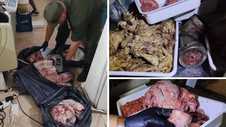 Inspeccionaron un autoservicio en Gaboto y decomisaron 85 kilos de carne