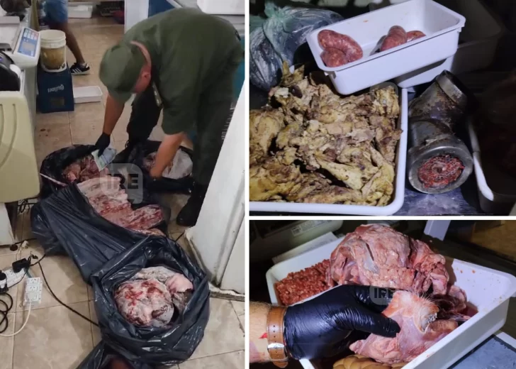 Inspeccionaron un autoservicio en Gaboto y decomisaron 85 kilos de carne