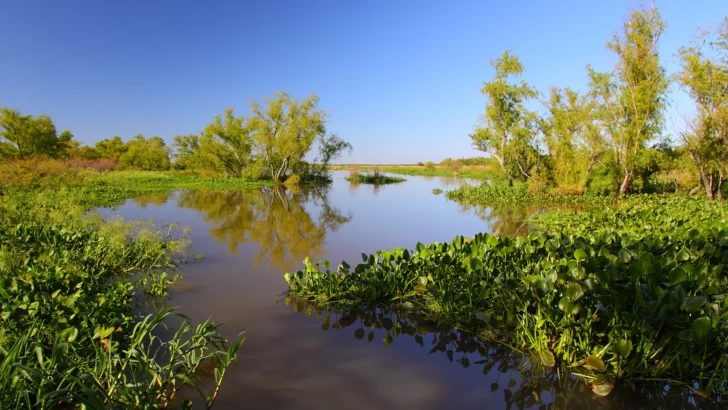 Puerto Gaboto suma su propuesta histórica y natural al turismo regional