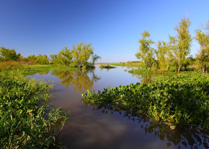 Puerto Gaboto suma su propuesta histórica y natural al turismo regional