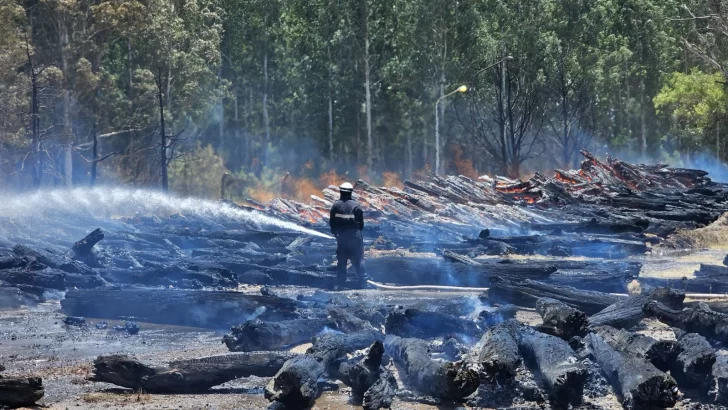 Los brigadistas lograron contener el fuego en la planta de Celulosa en Bermúdez