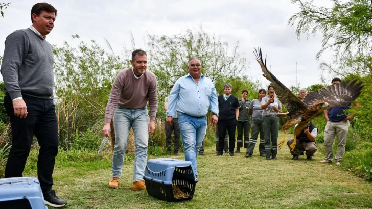 Biodiversidad: Provincia ya realizó 1.400 rescates de animales