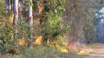 Se reactivó el fuego en el monte de Celulosa y tuvieron que evacuar a una familia