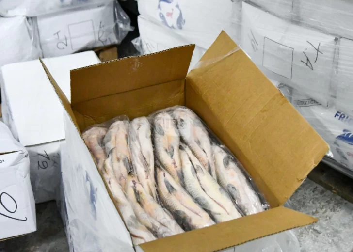 Exportacion-de-peces-728x520