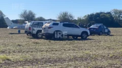 Megaoperativo por un presunto vuelo narco en Villa Eloísa: Una avioneta abandonada, persecución y un gendarme herido