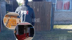 La carnicería narco de Serodino: Imputaron a una pareja por los 108 kilos de marihuana hallados en freezers