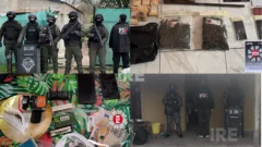 Tres domicilios allanados y cuatro aprehendidos en una causa por microtráfico en Puerto Gaboto